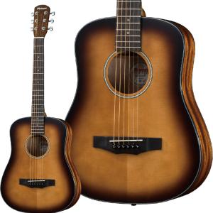 Morris モーリス M-1 BS (ブラウンサンバースト) アコースティック