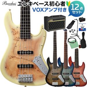 FERNANDES（フェルナンデス） FJB5-DLX PCS 5弦ベース エレキベース