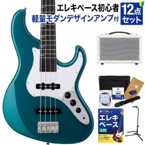 Takamine PB Series B10 専用ハードケース付 | フレットレス 《ベース
