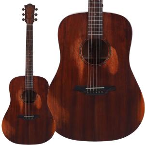 ARIA（楽器） Aria AD-35N Acoustic Guitar アコースティックギター