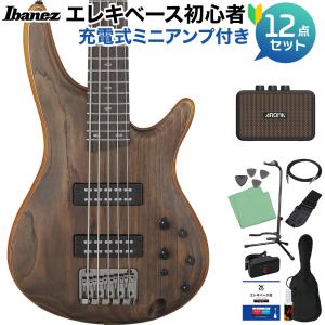 Ibanez（アイバニーズ） SR6AH SUF 6弦ベース エレキベース 島村楽器