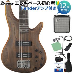 Ibanez（アイバニーズ） SR6AH SUF 6弦ベース初心者12点セット 多機能