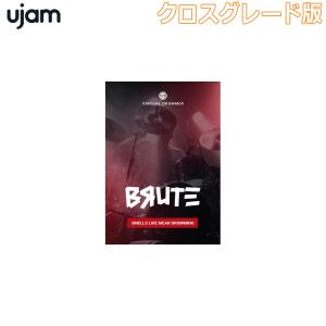 [特価 2024/04/20迄] UJAM ユージャム Virtual Drummer BRUTE クロスグレード版 [メール納品 代引き不可]｜shimamura