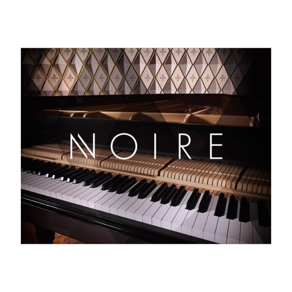Native Instruments (NI) Noire