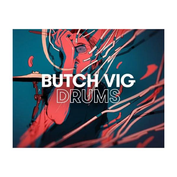 Native Instruments (NI) Play Series - Butch Vig