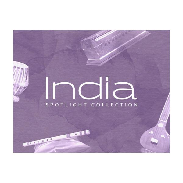 Native Instruments (NI) India