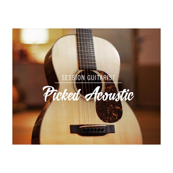 Native Instruments (NI) Session Guitarist - Picked...