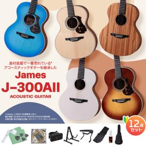 ジェームス James J-300AII アコースティックギター トップ単板