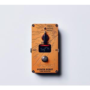 Ibanez（アイバニーズ） Ibanez / TS9 TUBE SCREAMER オーバードライブ