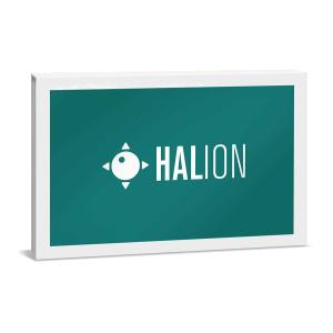 HALion7 スタインバーグ 最新版の買取情報