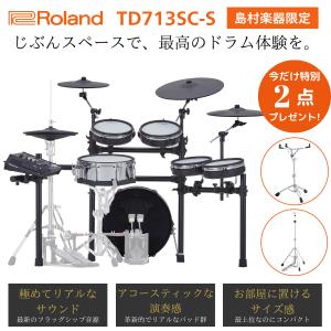Roland CY-14C クラッシュ シンバル ① Roland / CY-14C-T Vシンバル・クラッシュとシンバルマウントMDY