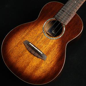 aNueNue アヌエヌエ aNN-LF23E S/N：AN04121 エレアコ 未展示品 : 島村