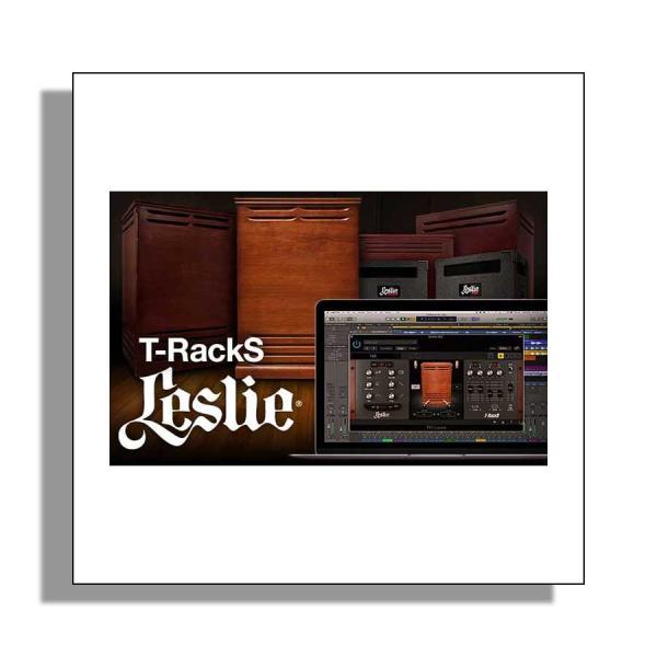 IK Multimedia IKマルチメディア T-RackS Leslie プラグイン  メール納...