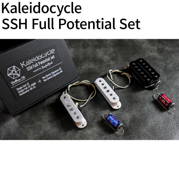 Ovaltone オーバルトーン Kaleidocycle Pickup SSH Full Pote...