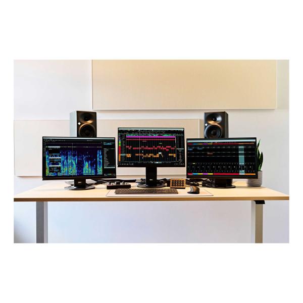 steinberg スタインバーグ SpectraLayers Pro 12 Competitive...