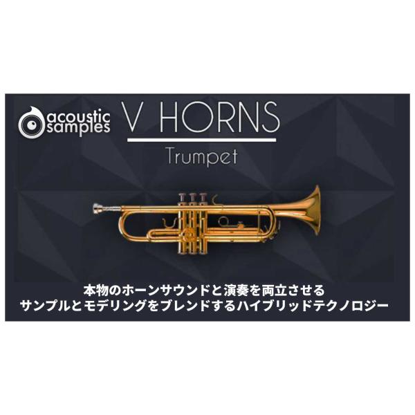 Acoustic Samples VHorns Trumpet ソフト音源 トランペット音源 ブラス...