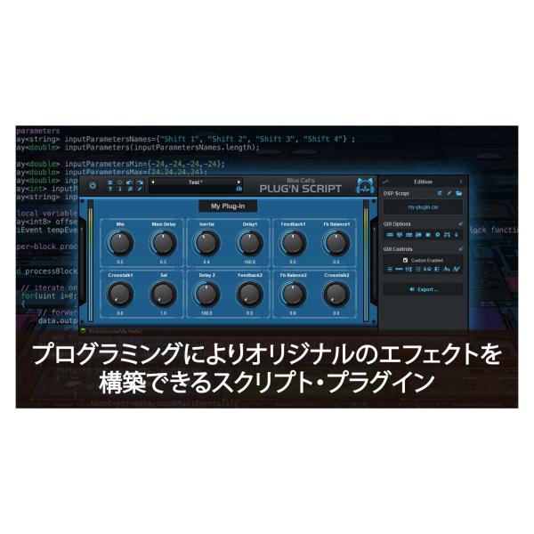Blue Cat Audio Blue Cat's Plug'n Script V3 ブルーキャット...