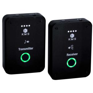 2026年3月】インイヤーモニターシステム（ワイヤレスシステム）の