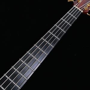 ALEMBIC アレンビック MJLB5F T...の詳細画像2