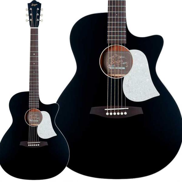 aNueNue アヌエヌエ GA01 Black (ブラック) アコースティックギター トップ単板 ...