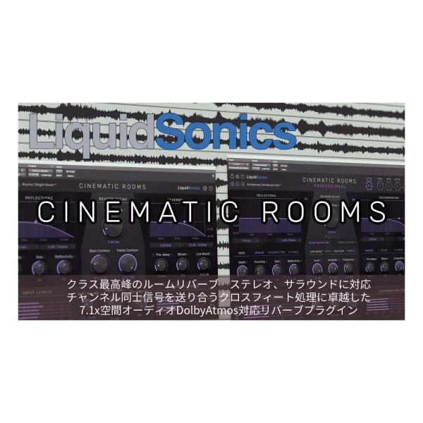 LiquidSonics リクイッドソニックス Cinematic Rooms Profession...