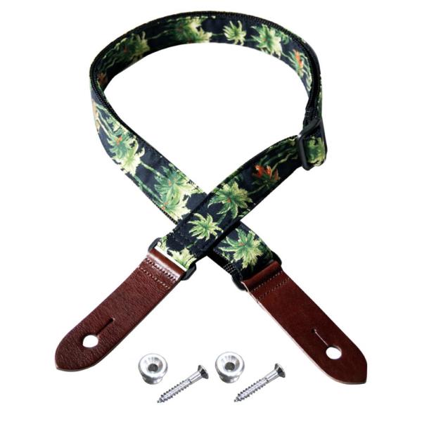 Daiking Corporation ダイキングコーポレーション DUST-PT+EP ウクレレス...