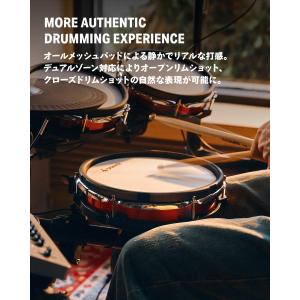 Donner ドナー DED-300X マット...の詳細画像3