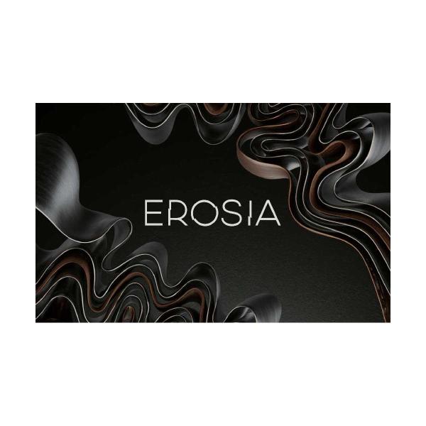 Native Instruments (NI) ネイティブインストゥルメンツ Erosia メール納...