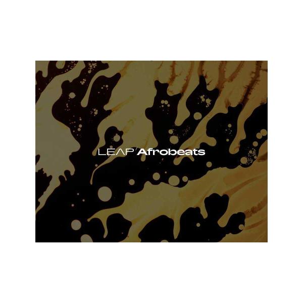 Native Instruments (NI) ネイティブインストゥルメンツ Leap Expans...
