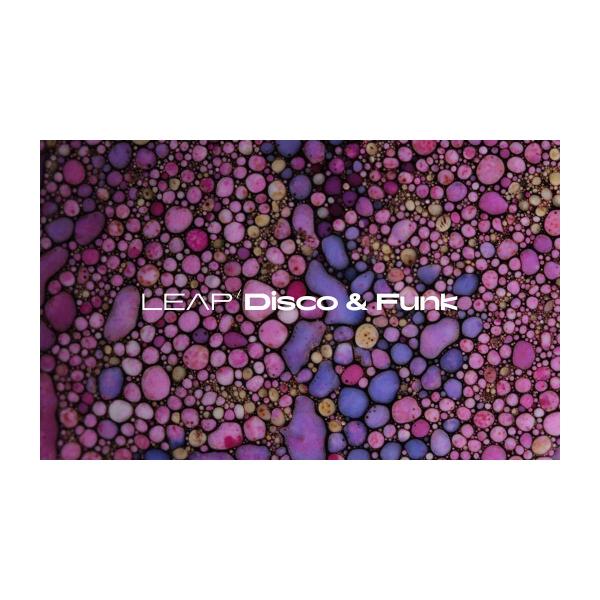 Native Instruments (NI) ネイティブインストゥルメンツ Leap Expans...