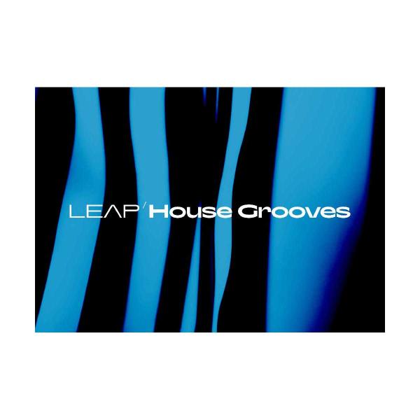 Native Instruments (NI) ネイティブインストゥルメンツ Leap Expans...