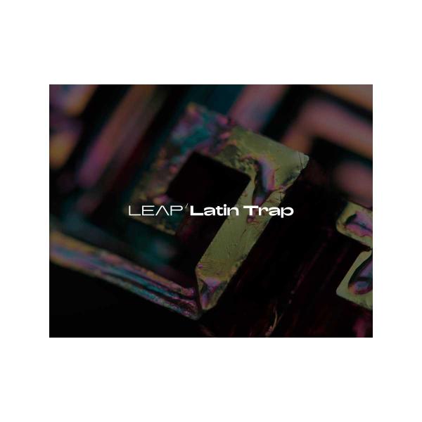 Native Instruments (NI) ネイティブインストゥルメンツ Leap Expans...