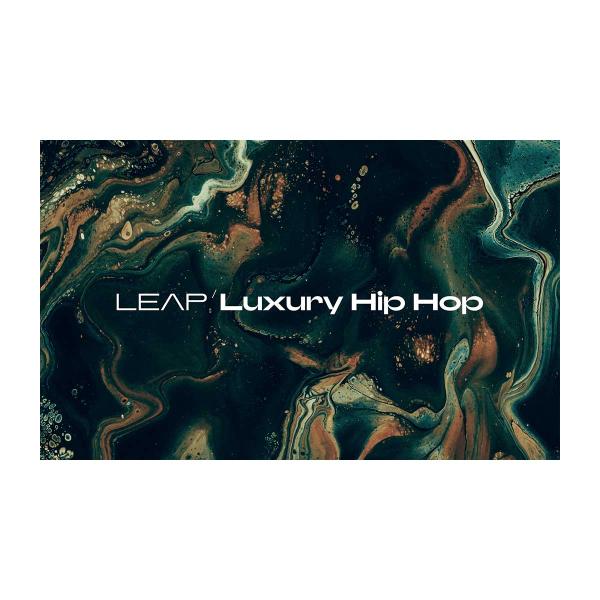Native Instruments (NI) ネイティブインストゥルメンツ Leap Expans...