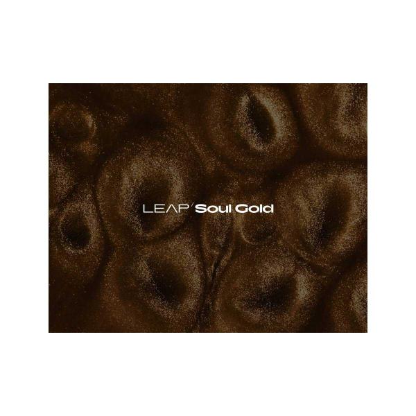 Native Instruments (NI) ネイティブインストゥルメンツ Leap Expans...