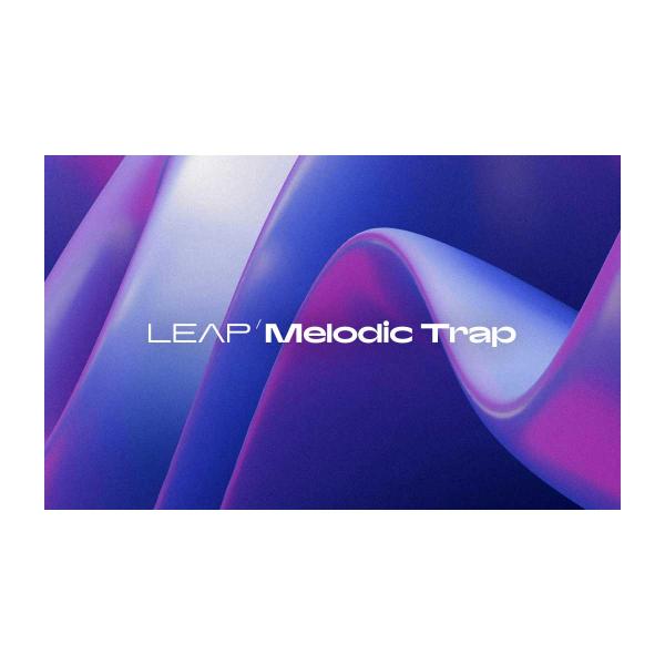 Native Instruments (NI) ネイティブインストゥルメンツ Leap Expans...