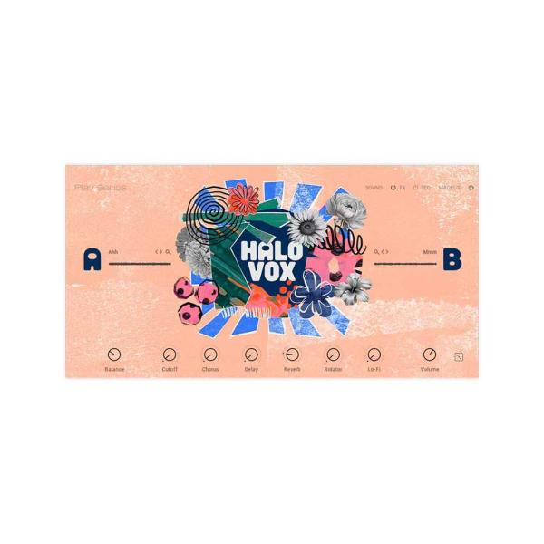 Native Instruments (NI) ネイティブインストゥルメンツ Halo Vox メー...