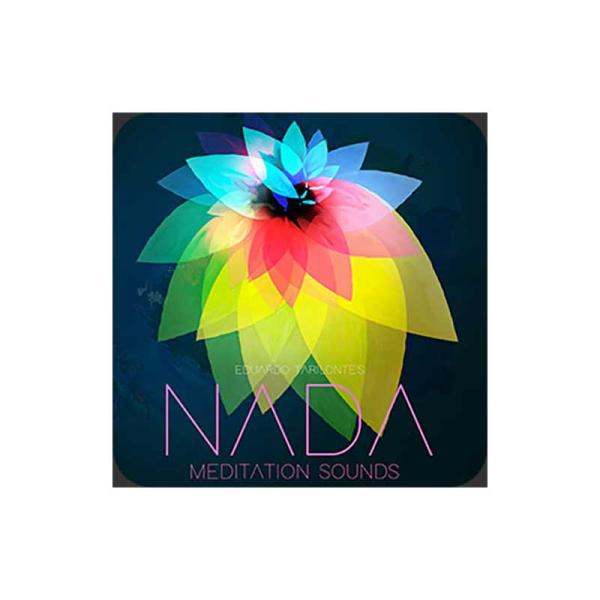 Engine Audio NADA ソフト音源 C8294メール納品 代引き不可