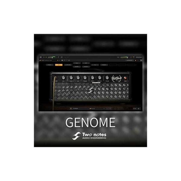 特価 2026/02/01迄 Two Notes トゥーノーツ GENOME C5550メール納品 ...