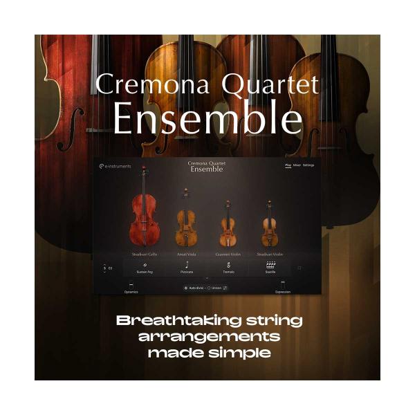 Native Instruments (NI) ネイティブインストゥルメンツ Cremona Qua...