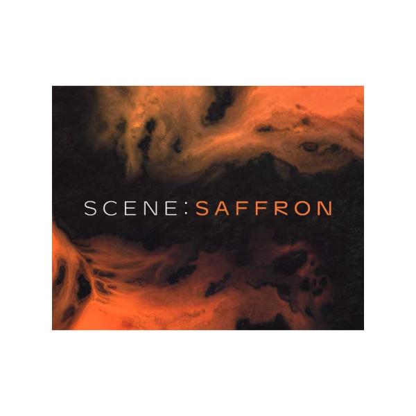 Native Instruments (NI) ネイティブインストゥルメンツ Scene: Saff...