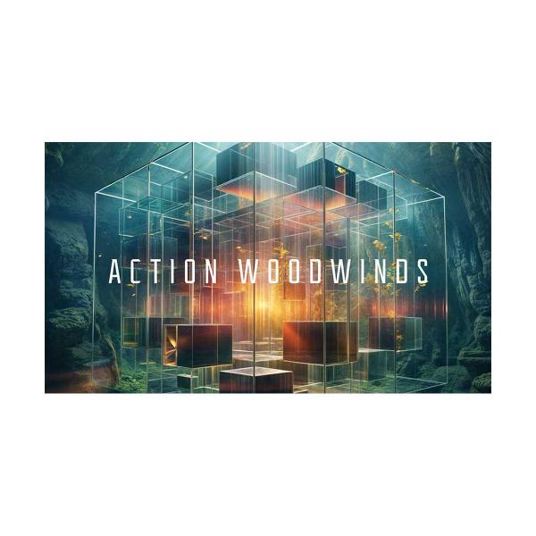 Native Instruments (NI) ネイティブインストゥルメンツ Action Wood...