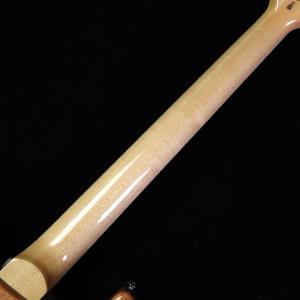PRS ポールリードスミス(Paul Reed...の詳細画像5