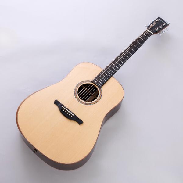 HISTORY ヒストリー NT-L3/Performance エレアコ オール単板 ローズウッド ...