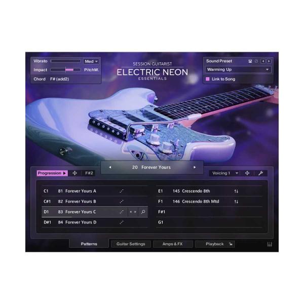 Native Instruments (NI) ネイティブインストゥルメンツ Session Gui...