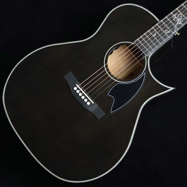 Headway ヘッドウェイ HGAF-SAKURA/JS　S/N：JT26008 エレアコ JTシ...