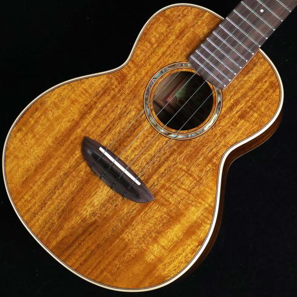 aNueNue アヌエヌエ aNN-AAA2　S/N：AO12351 コンサート 未展示品