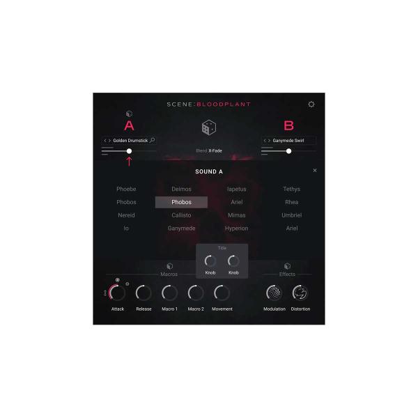 Native Instruments (NI) ネイティブインストゥルメンツ Scene: Bloo...