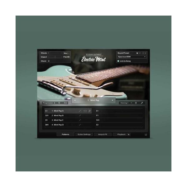 Native Instruments (NI) ネイティブインストゥルメンツ Session Gui...