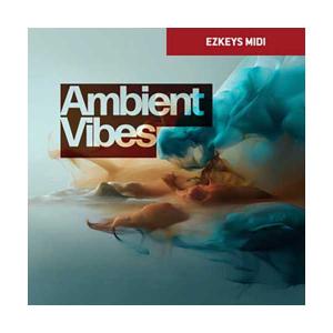 TOONTRACK Keys MIDI Ambient Vibeの高価買取価格