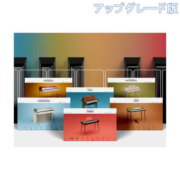 Native Instruments (NI) ネイティブインストゥルメンツ Definitive ...